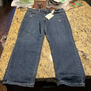 Stitch Fix Boyfriend Jean